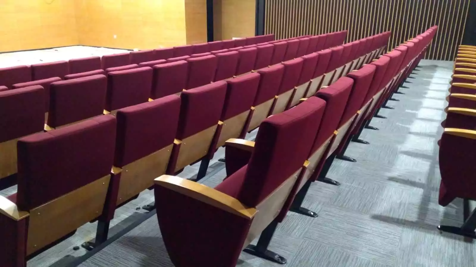 Comfort and style in auditorium seating Image